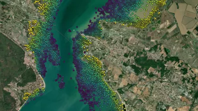 Image satellite de la réserve Naturelle de Moêze-Oléron dans le détroit du Pertuis d'Antioche en Charente-Maritime