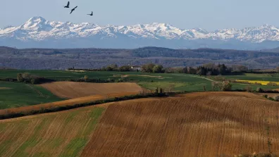 Paysage agricole au début du printemps au premier plan, avec une forêt au deuxième plan et la chaîne des Pyrénées en fond