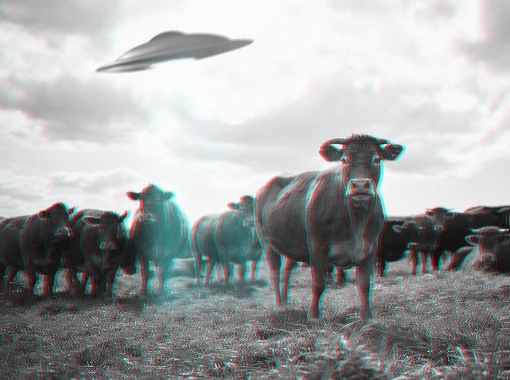 Soucoupe extraterrestre en train d’enlever des vaches